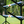 Pole Rack from Dalman Jump Co.