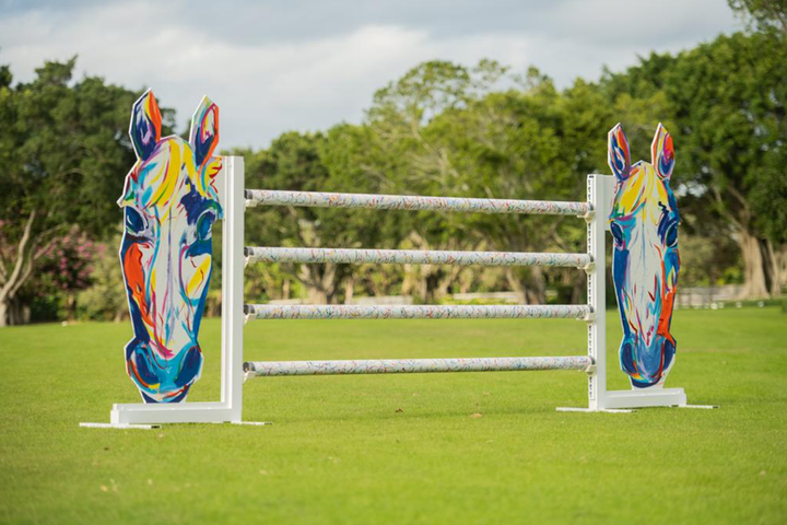 Designer Pop Art Jump from Dalman Jump Co.