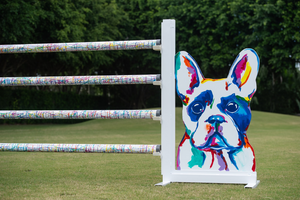 Designer Dog Pop Art Jump from Dalman Jump Co.