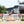 Rose Horse Show Jump Standards