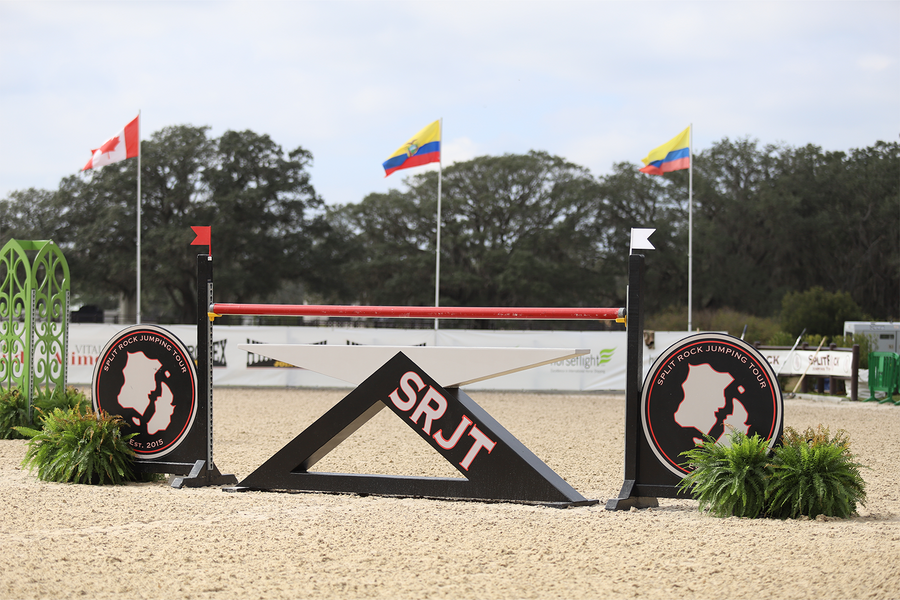 Custom Logo Wall with standards from Dalman Jump Co.