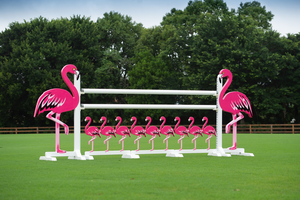 Flamingo Jump standards from Dalman Jump Co.