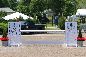 Horse Show Jump by Dalman Jump Co. - Lavender Kaleidoscopes