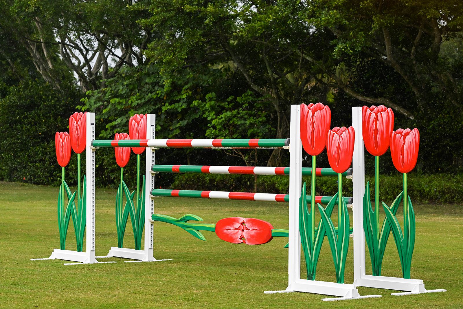 Tulip Jump Standards – Dalman Jump Co Tulip Jump Standards – Dalman Jump Co